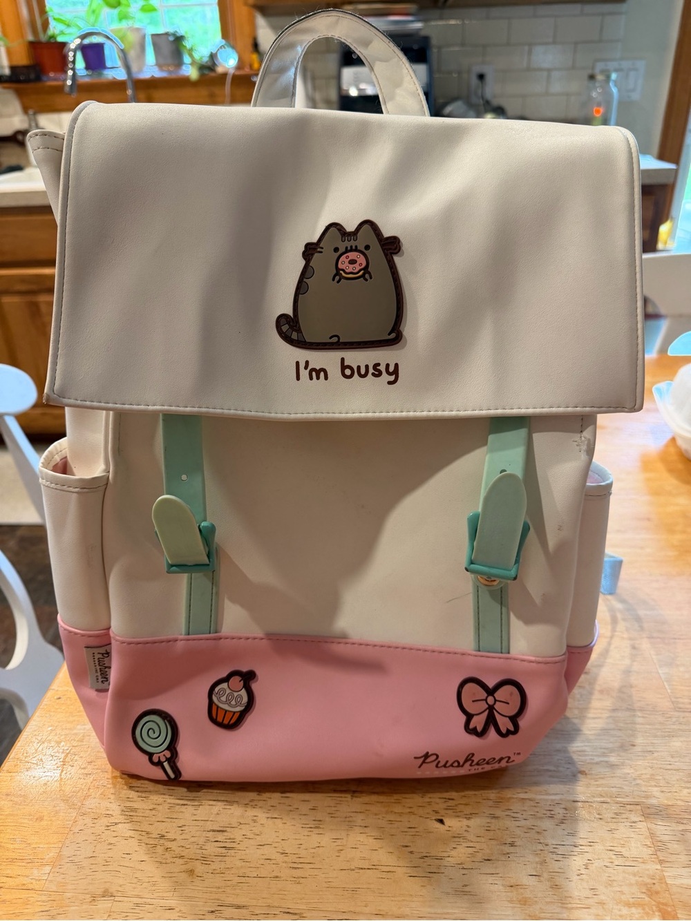 Pusheen “I’m Busy” Pastel Backpack Kawaii Faux Leather Bag. Excellent condition.